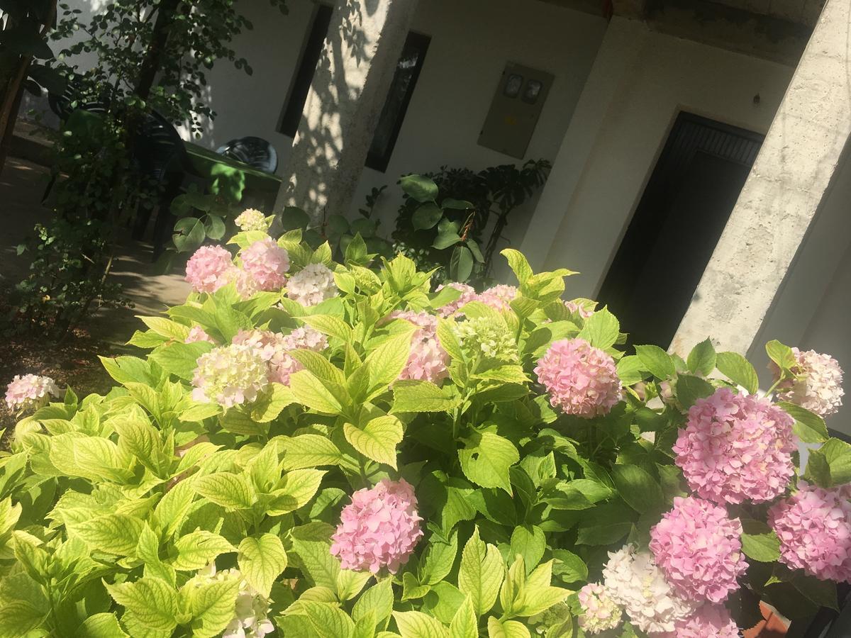 Guesthouse Star Mostar Zewnętrze zdjęcie